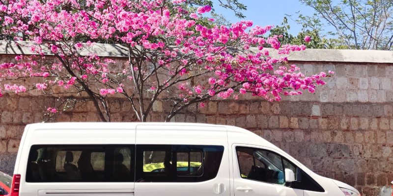 Transporte privado en Oaxaca